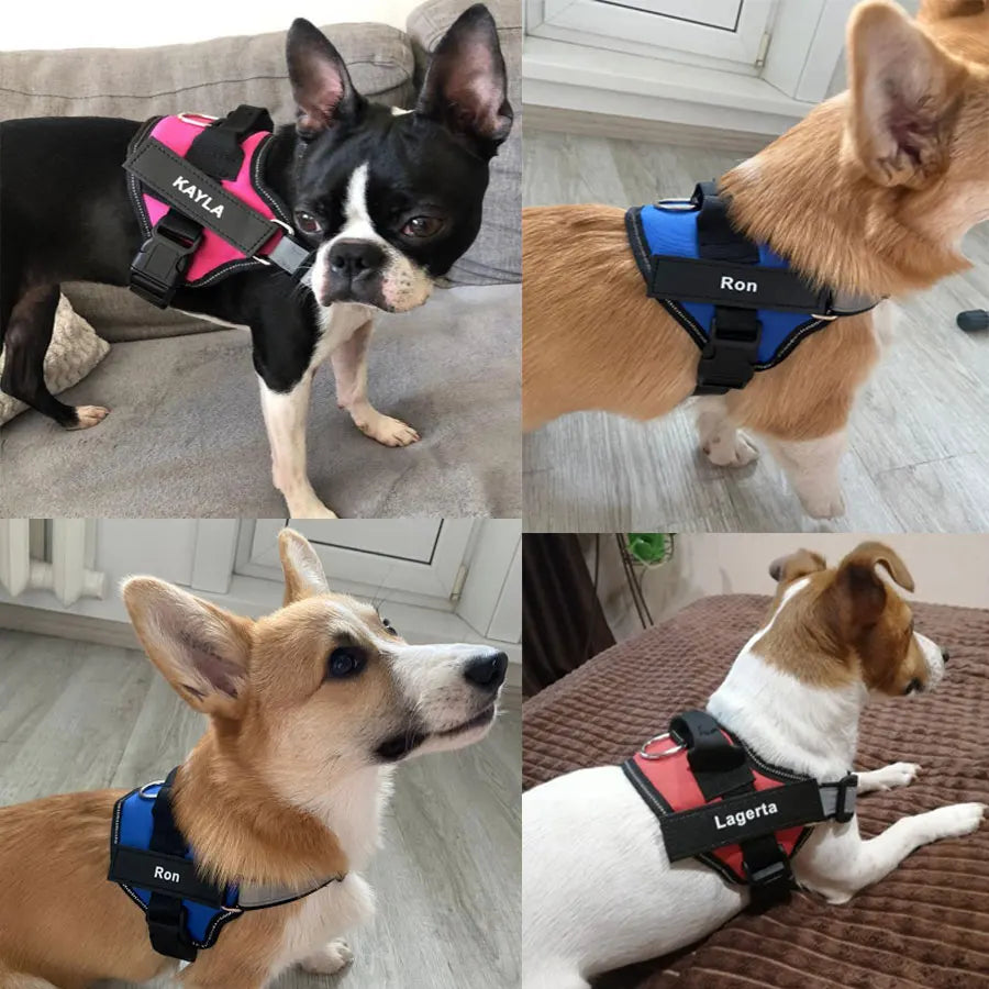 Dog Harness, Reflective, Breathable, Adjustable Vest, ID Custom Patch