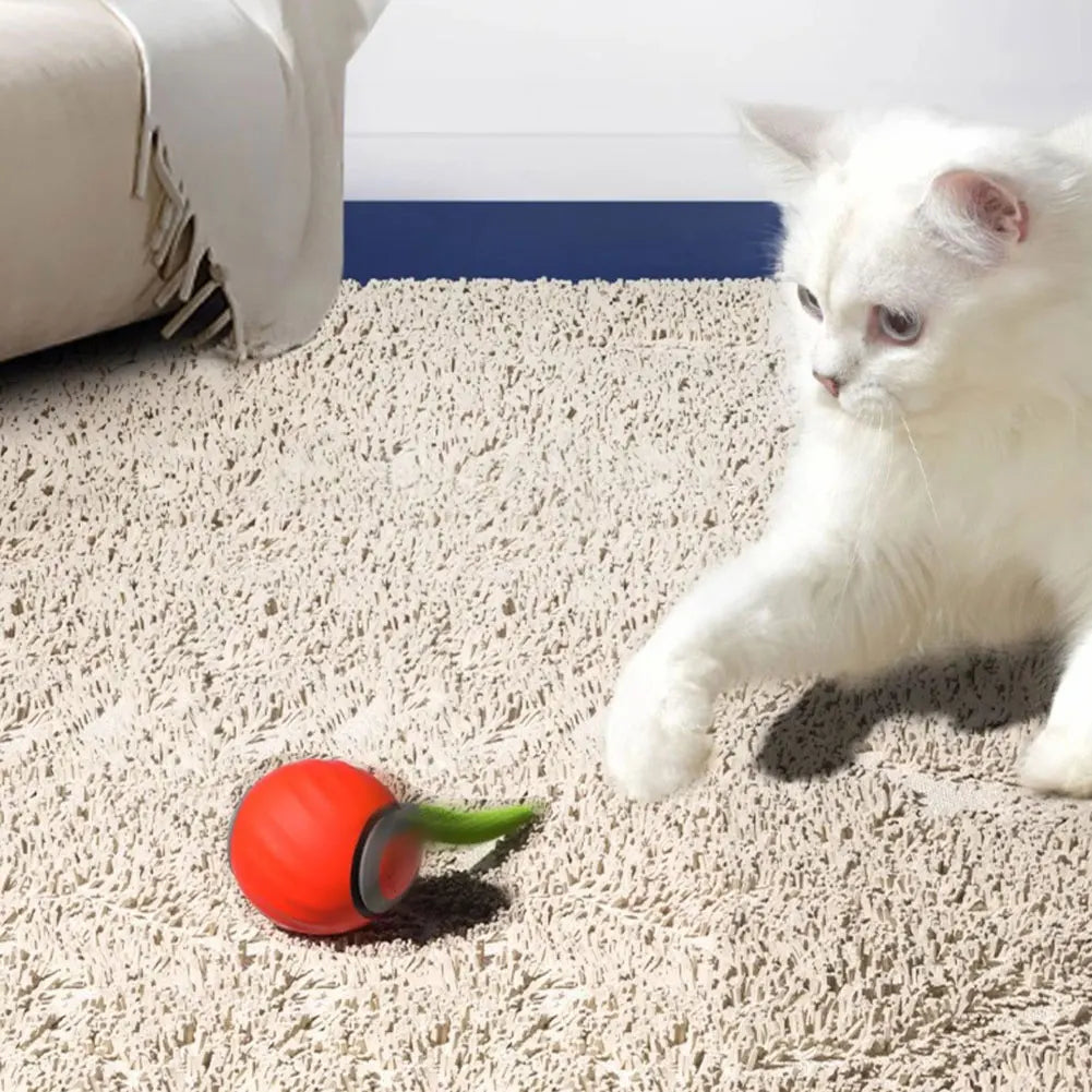 Automatic Moving Cat Ball Smart Toy Two Speed Adjustment Speedy Tail with Replacement Tail