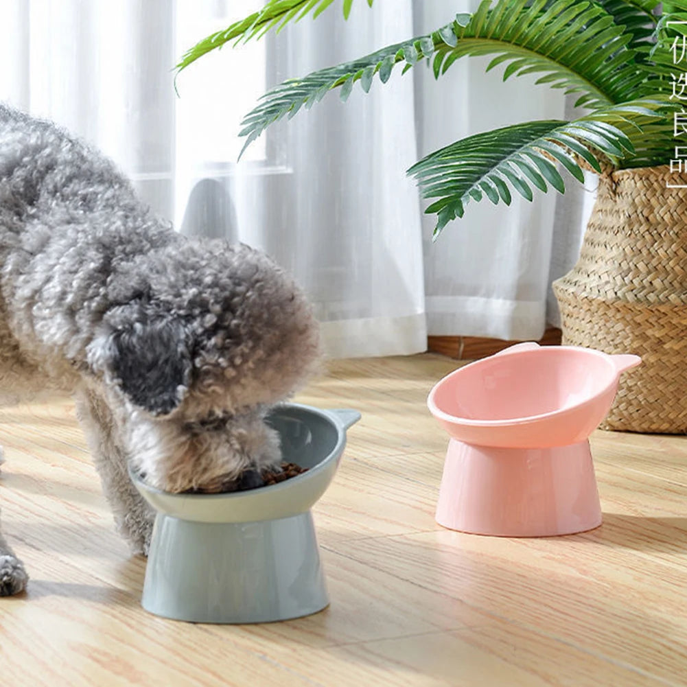 Tilted Cat Food Bowl Ergonomic Raised Bowl for Anti Vomiting, Tall, Non Slip