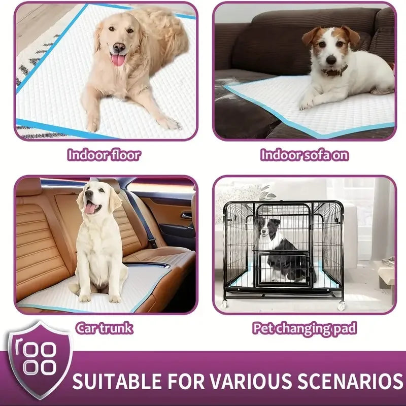 XXL Dog Pee Pads | Premium Disposable Dog Training Pads | Super Absorbency | Blue Extra Strength Leak-Proof