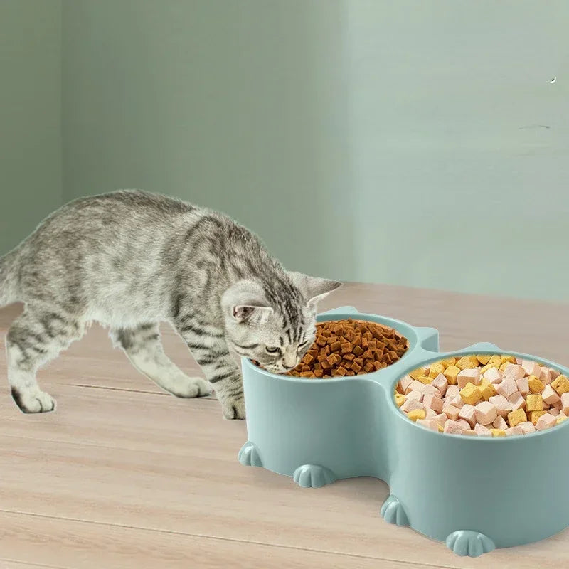 Feeder Food And Protective Raised Elevated Cat Tall Pet Tilted Design Water Bowl Set