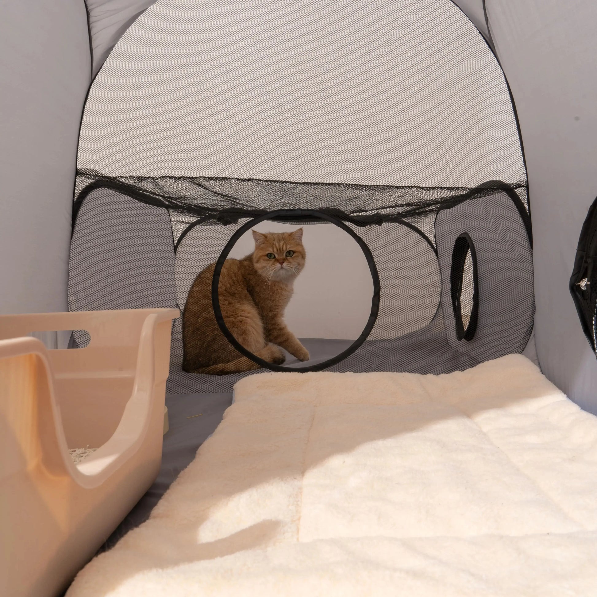 Foldable Square Gray Pet Nest, Hard Oxford Cloth with a Play Tunnel