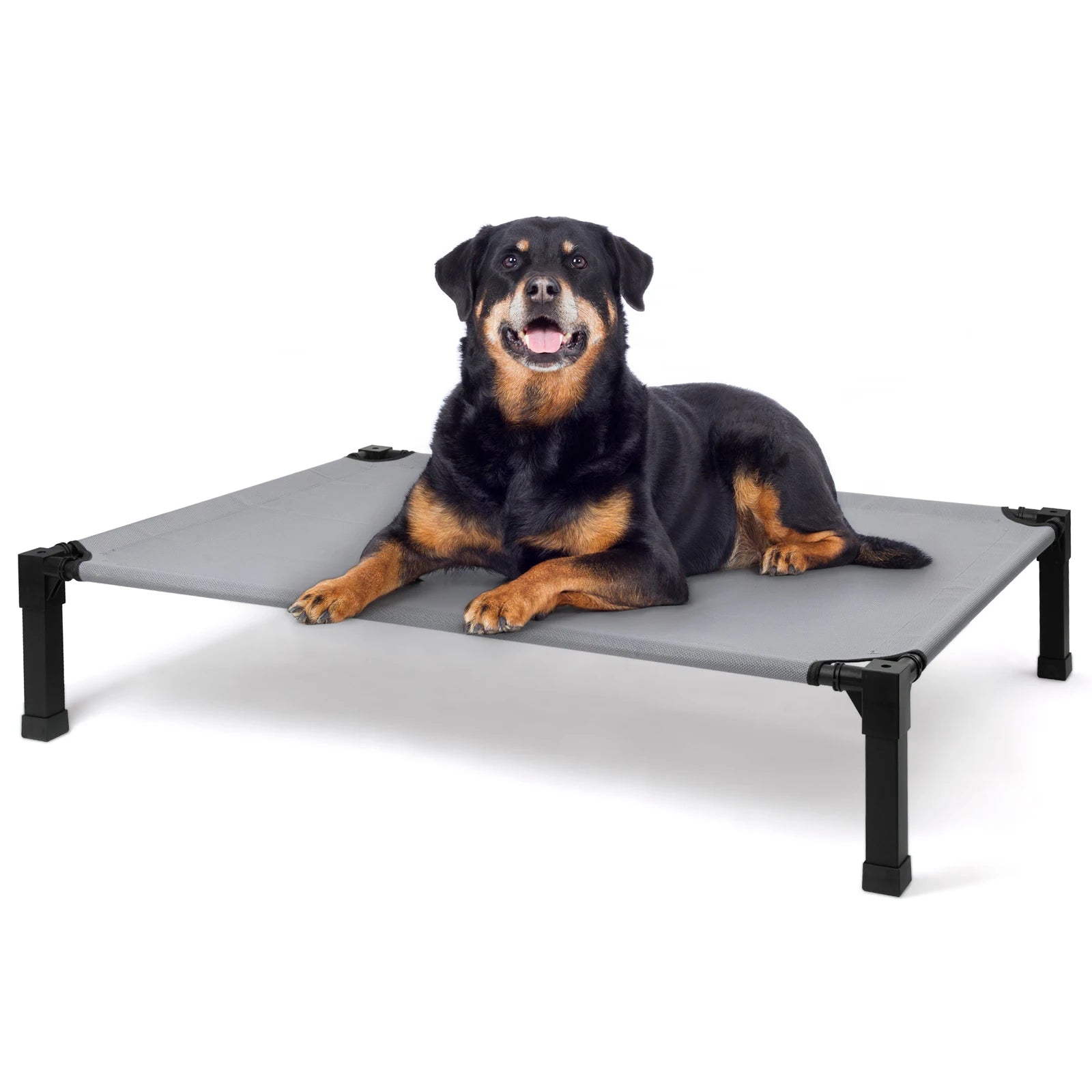 Elevated Dog Bed, Cooling Raised Pet Cot with Chew Proof Washable Breathable Mesh and Metal Frame