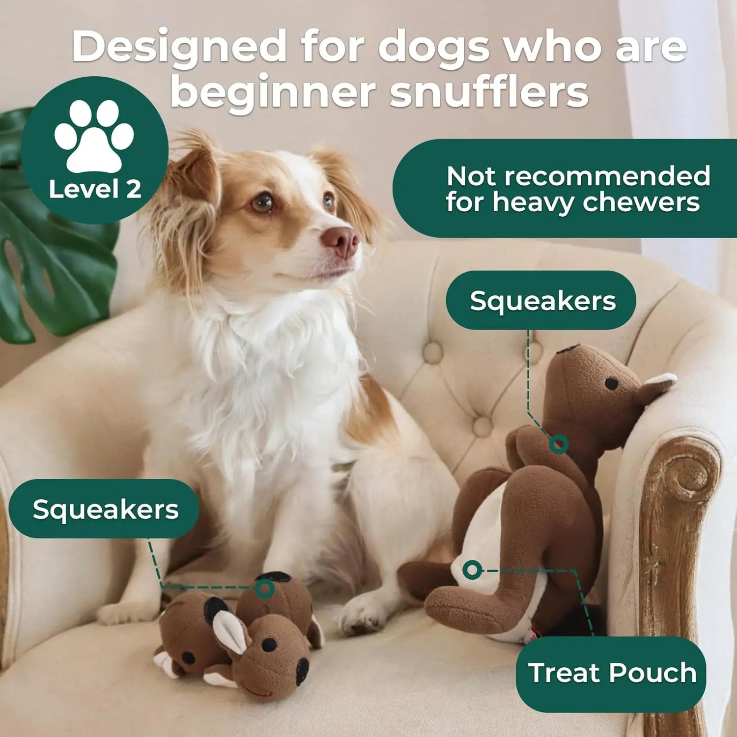 Interactive Kangaroo Plush Dog Toy with Squeaker & Treat Pouch - Snuffle Enrichment Puzzle for Small Medium Dogs