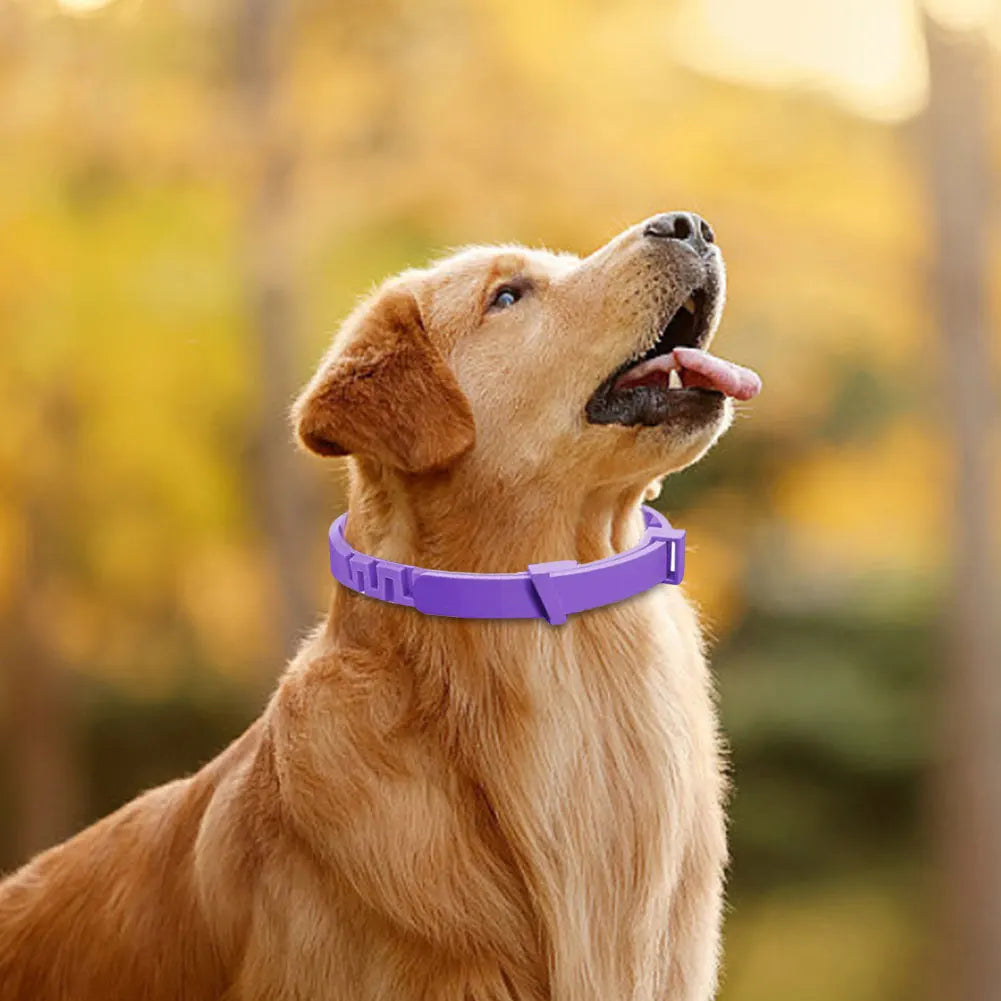 3/4 Pack Pet Calming Collar Stress and Anxiety Relief Pheromone Collar Adjustable