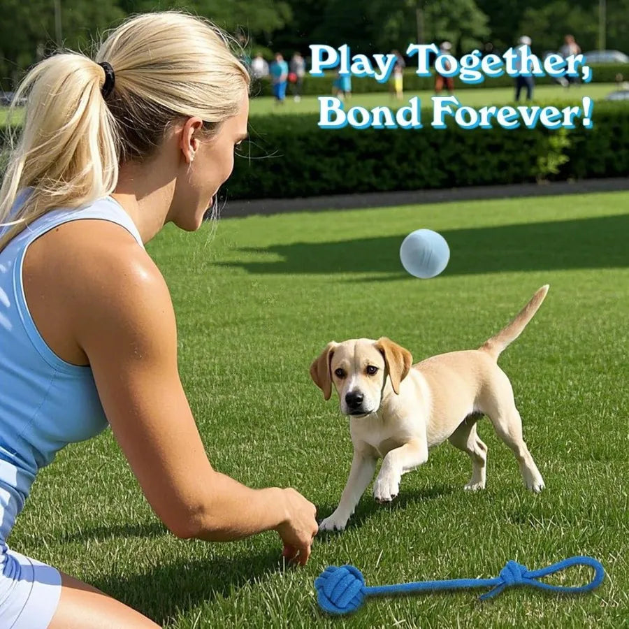 20 Pack Puppy Chew Toys for Small Breeds Blue Teething Rings and Ropes Interactive with Durable Chew