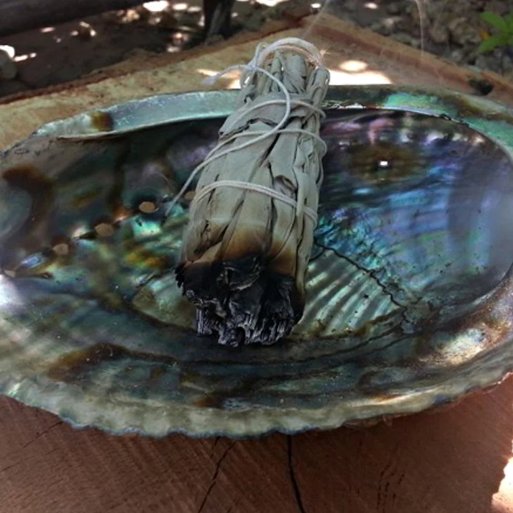 Natural White Sage Grass Bundle Smudge Sticks for Purification and Home Cleansing