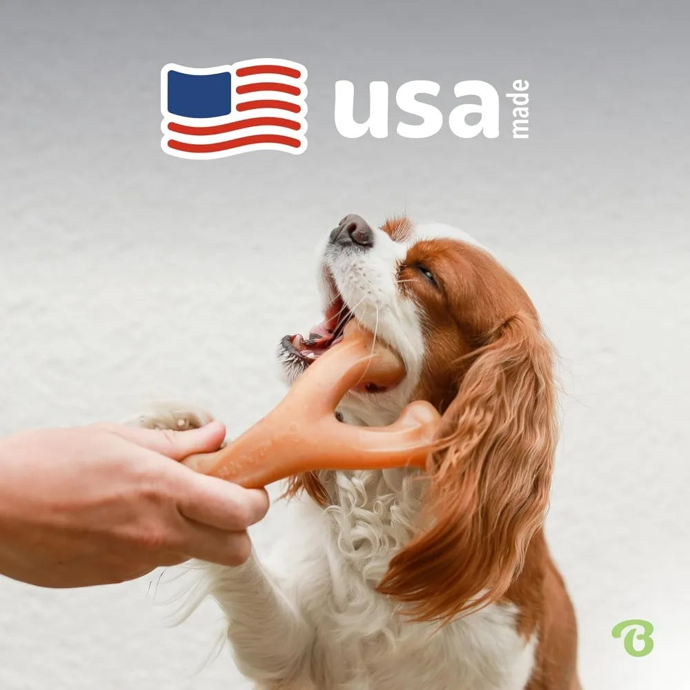 Durable Dog Chew Toy for Aggressive Chewers, Real Bacon, Made in USA, Medium