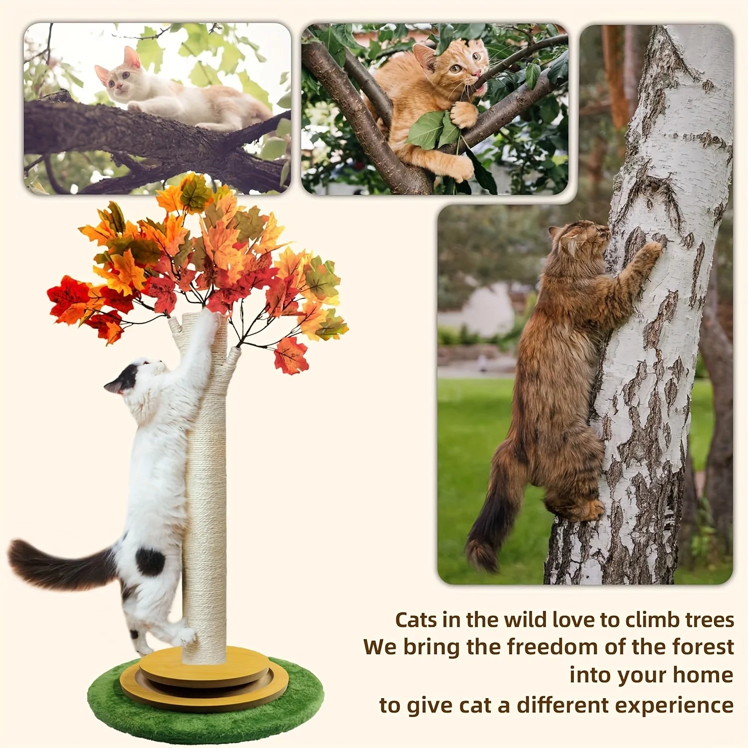 Maple Leaf Cat Scratching Post with Wooden Turntable Base Features Cat Toy Interactive Wooden Ball