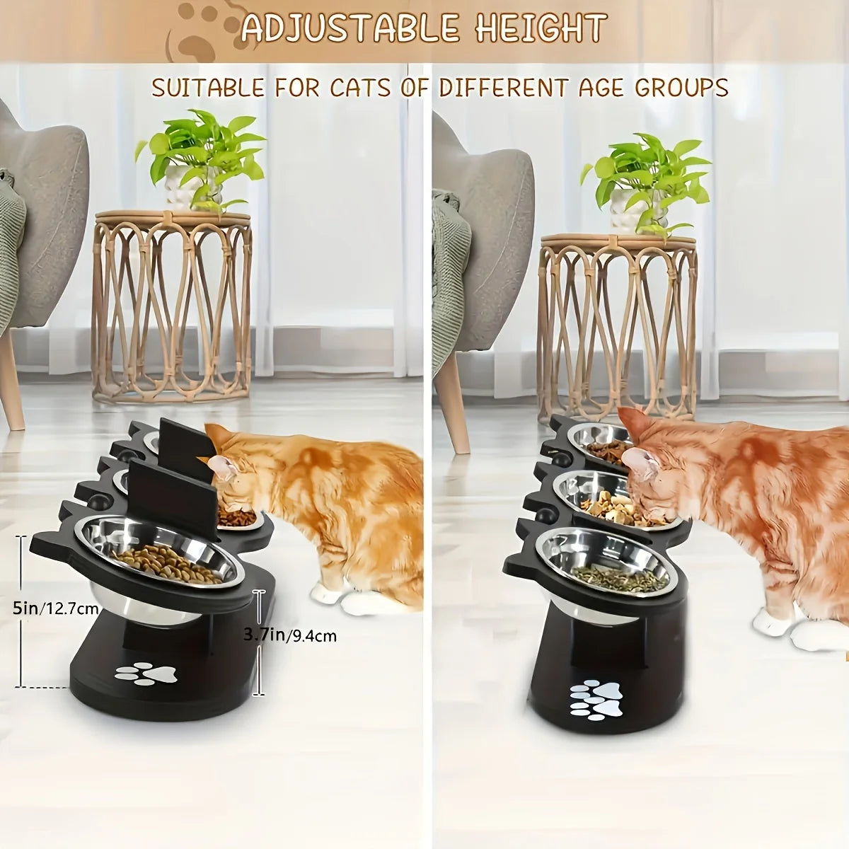 3 Bowls in 1 Cat Feeder, Feeding & Watering Bowl 15-Degree Tilt, Raised Stainless Steel Bowls Wood Brackets