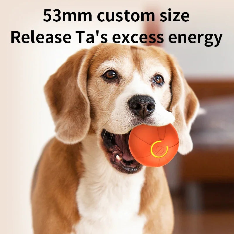 Smart Dog Toy Ball Automatic Interactive Electronic Rolling USB Rechargeable Chew Toy