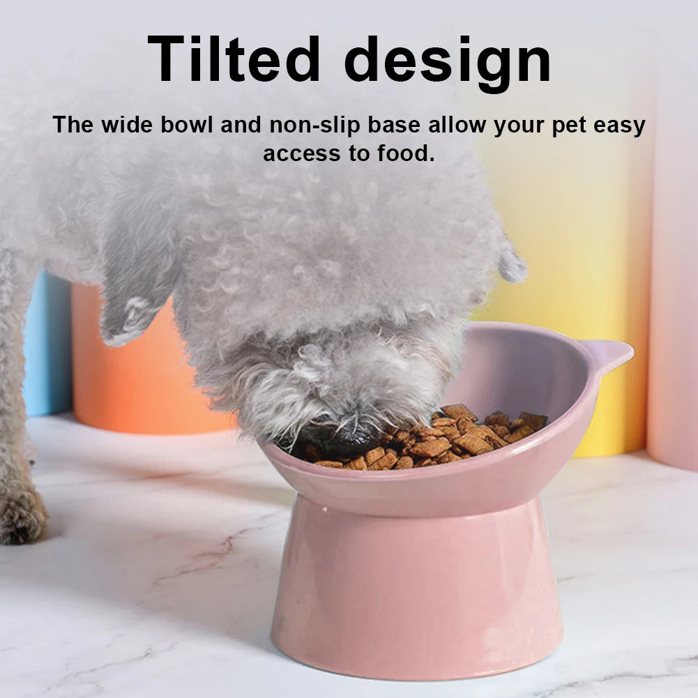 Tilted Cat Food Bowl Ergonomic Raised Bowl for Anti Vomiting, Tall, Non Slip