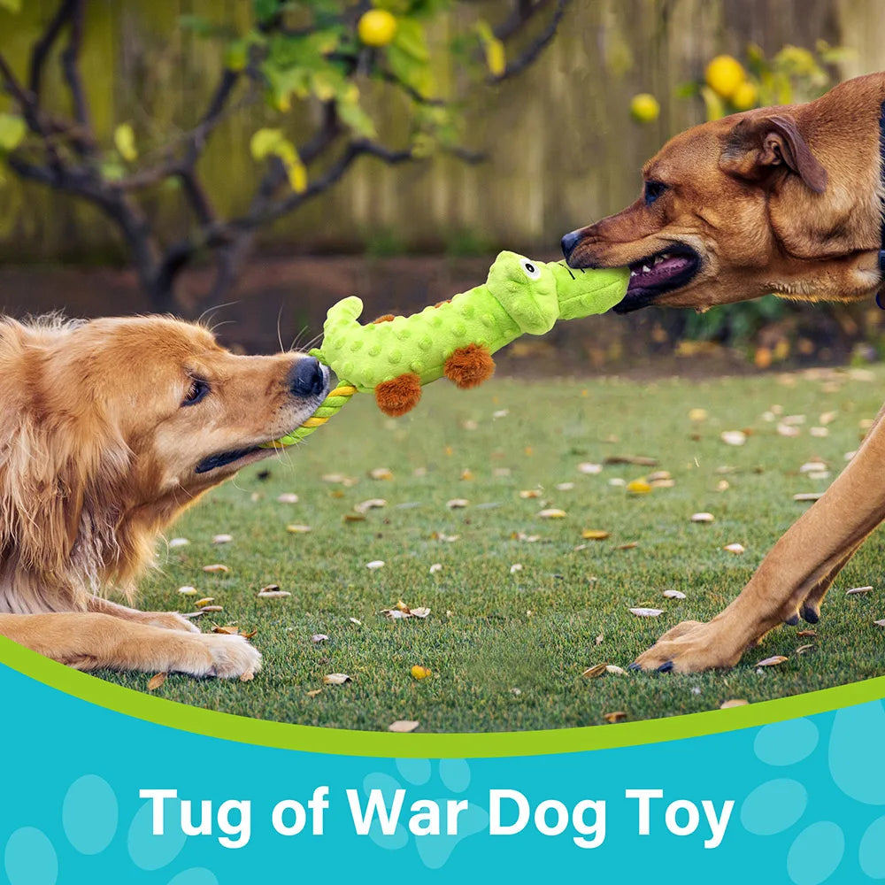 Pet Dog Squeaky Toy, 2 Pack, Tug of War for Dogs Interactive Play, Plush Chew Toy
