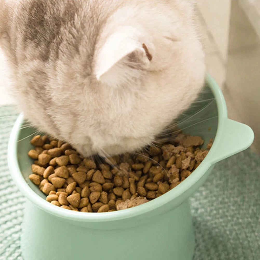Tilted Cat Food Bowl Ergonomic Raised Bowl for Anti Vomiting, Tall, Non Slip