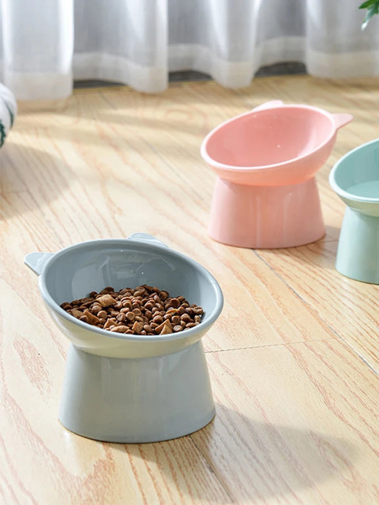 Tilted Cat Food Bowl Ergonomic Raised Bowl for Anti Vomiting, Tall, Non Slip