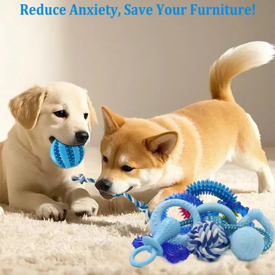 20 Pack Puppy Chew Toys for Small Breeds Blue Teething Rings and Ropes Interactive with Durable Chew