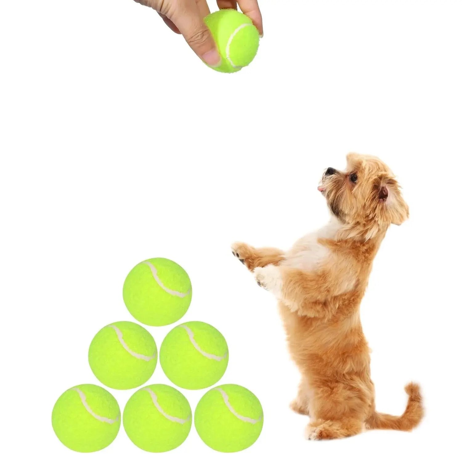 Tennis Balls for Dogs, 2-Inch Size, Compatible with Most Automatic Ball Launchers Idea for Small Dogs
